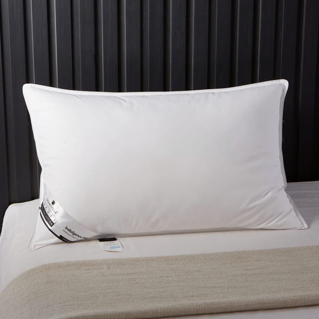 50 x 75 outlet pillow