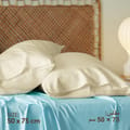 Microfiber Pillowcases 2-Pcs Soft Pillow Cover With Envelope Closure (Without Pillow Insert),Linen