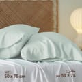 Microfiber Pillowcases 2-Pcs Soft Pillow Cover With Envelope Closure (Without Pillow Insert),Silver