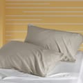 Microfiber Pillowcases 2-Pcs Soft Pillow Cover With Envelope Closure (Without Pillow Insert),Light Grey