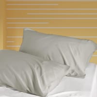 Microfiber Pillowcases 2-Pcs Soft Pillow Cover With Envelope Closure (Without Pillow Insert),Silk