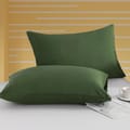 Microfiber Pillowcases 2-Pcs Soft Pillow Cover With Envelope Closure (Without Pillow Insert),Green