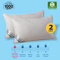 2 Pieces Hotel Striped Pillow ,100% Cotton shell ,Double Edge Stitched , Premium Gel Fiber 1 Kg Filling each  50x75 , Soft Loft